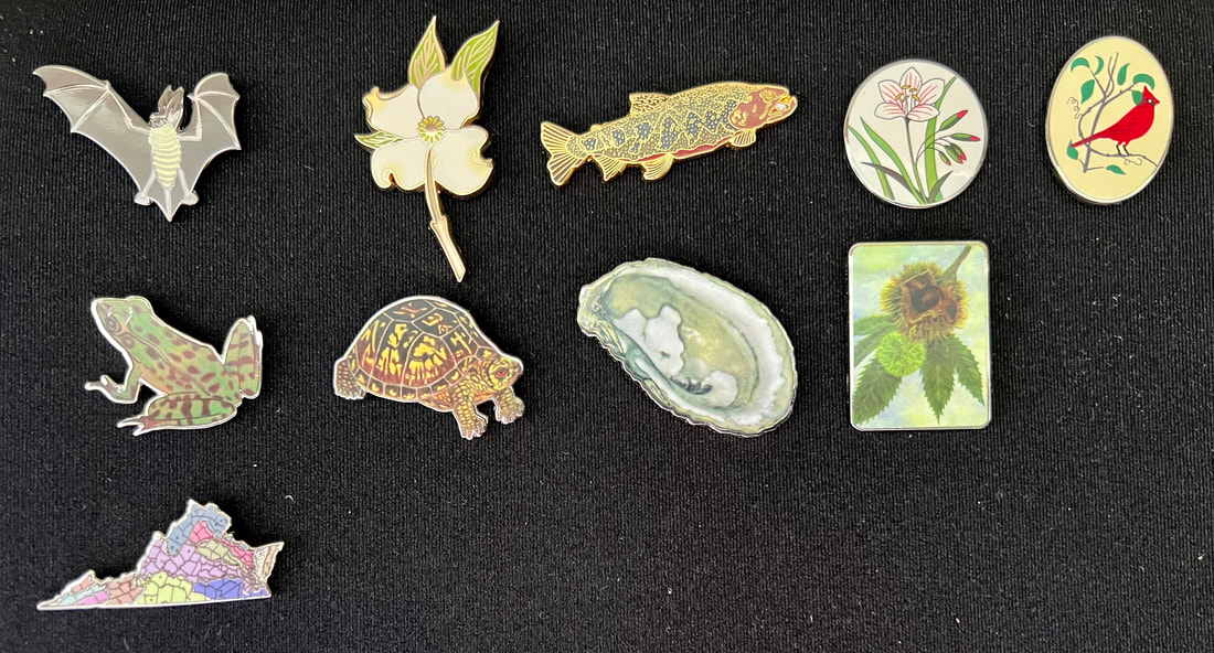 image of 10 pins showing different plant and animal species
