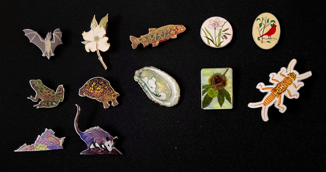 image of 12 pins showing different plant and animal species