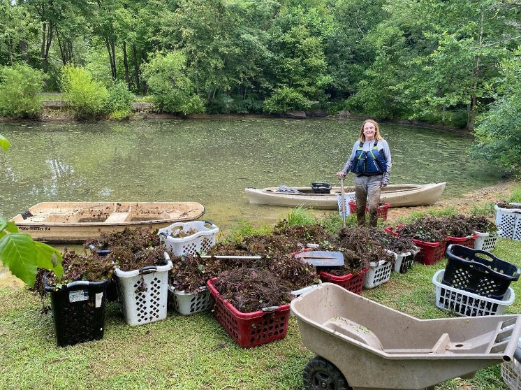 volunteer posed next to a pond with many baskets filled with an aquatic weed