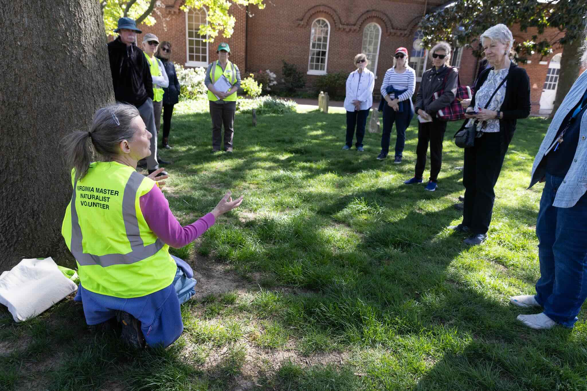 person wearing a green safety vest with Virginia Master Naturalist volunteer printed on it, kneeling at the base of a tree to show something to a group of onlookers