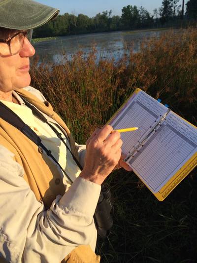 person poised to write down data in a field notebook