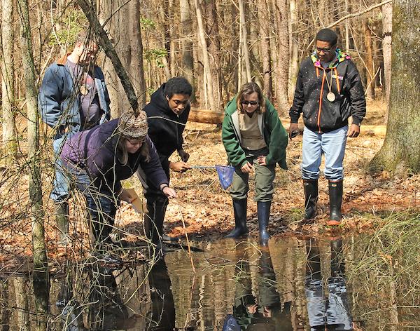 volunteers holding nets and notebooks peer into a wetland surrounded by forest