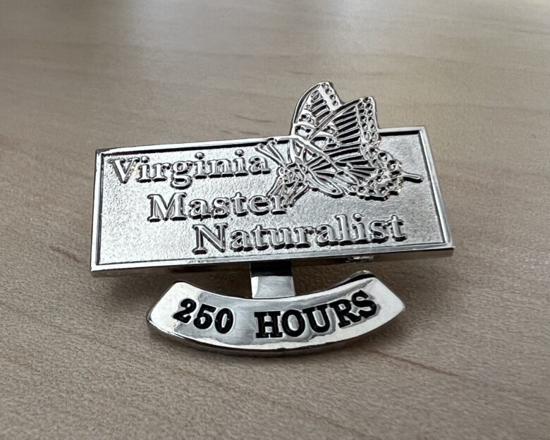silver pin with Virginia Master Naturalist logo and anchor with text 250 Hours