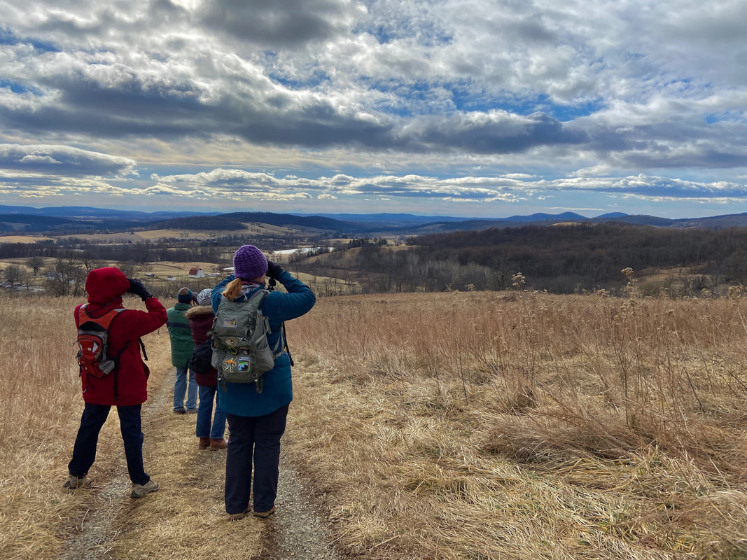 four people looking out over a field through binoculars under a blue sky with puffy white clouds