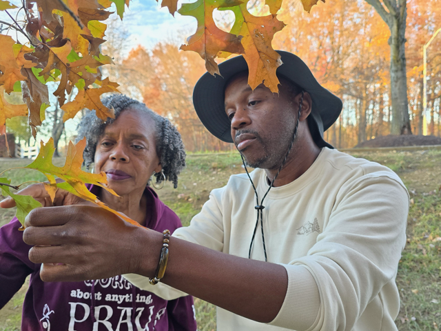 Open Popup for volunteer showing another person oak leaves on a tree in a grassy area