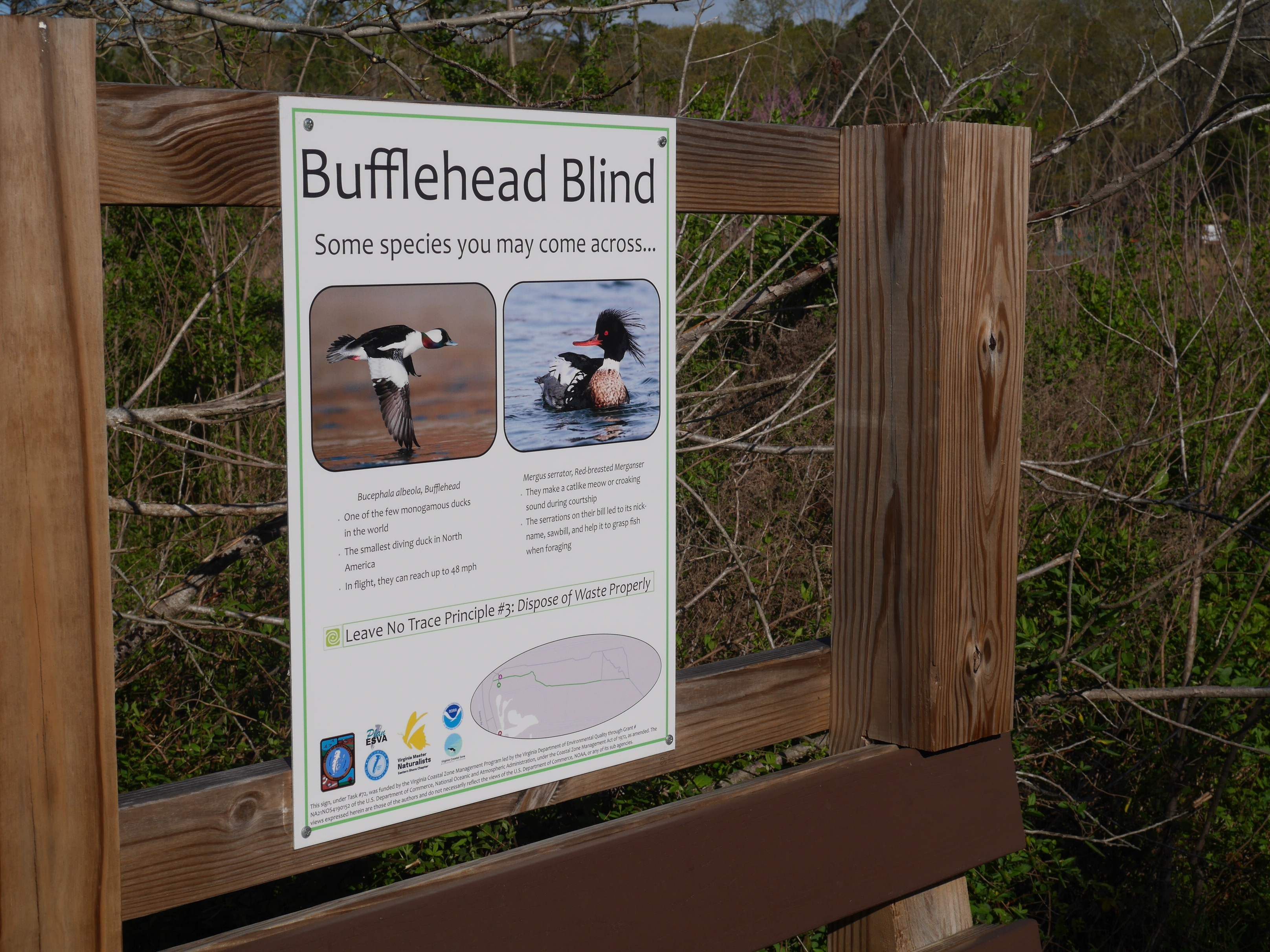 sign reading Bufflehead Blind and showing pictures of ducks that people might observe at that spot