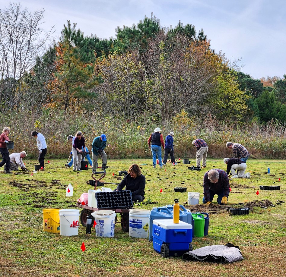 group of people planting plants in an open area