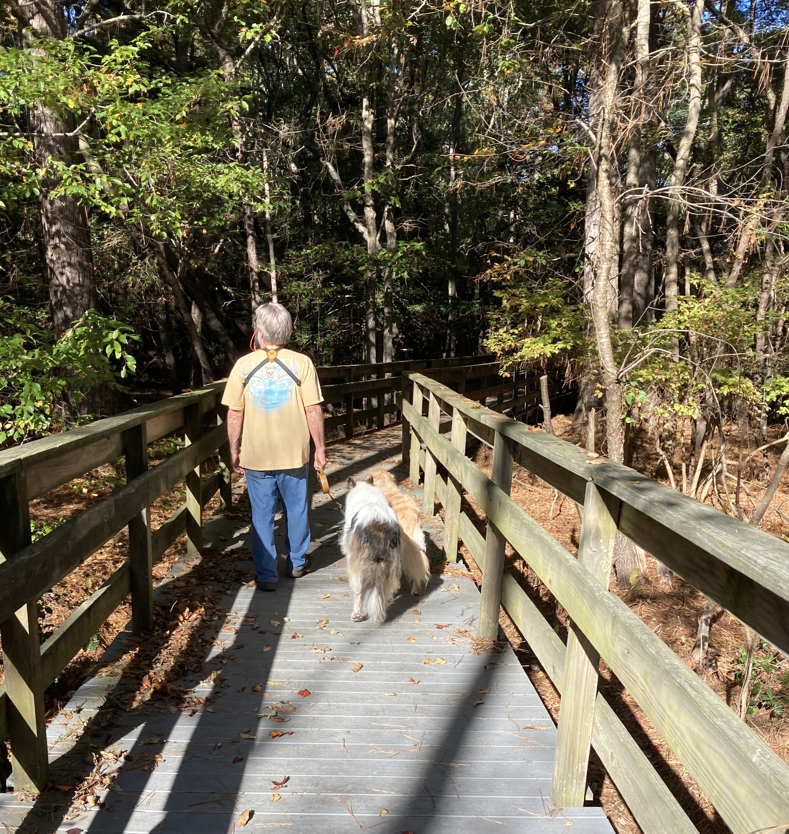 person with a dog walking down a boardwalk