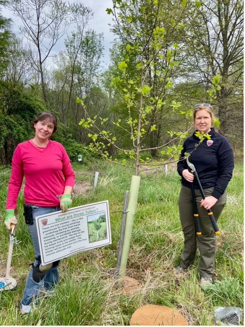 two volunteers posed with garden tools next to a young tree