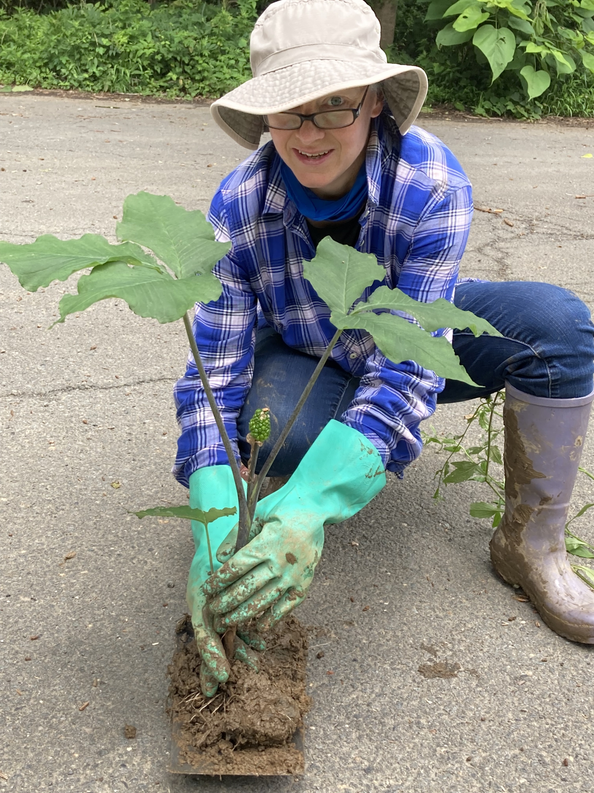 a volunteer holding a tree seedling