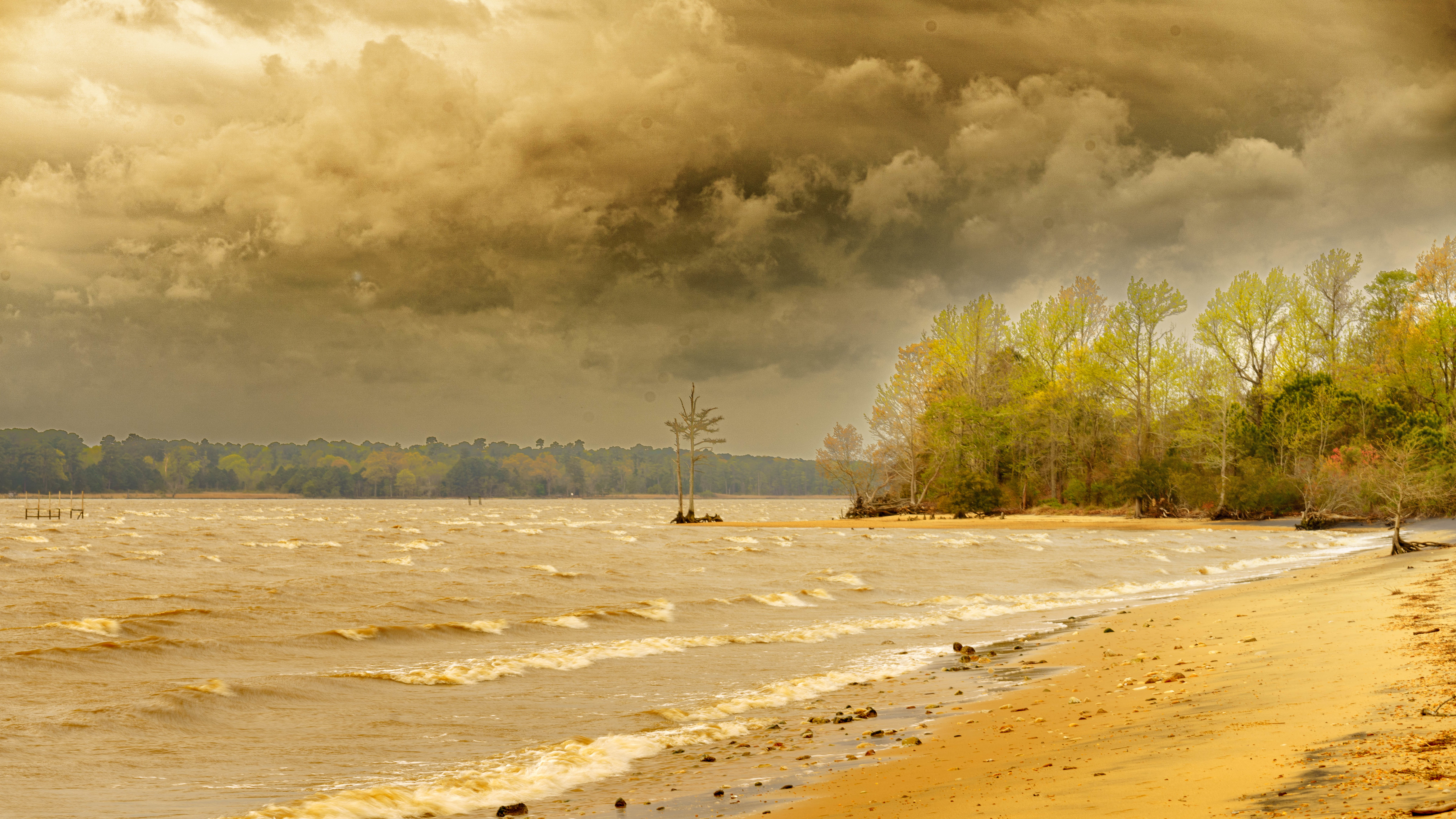 photo of a clean beach along a river