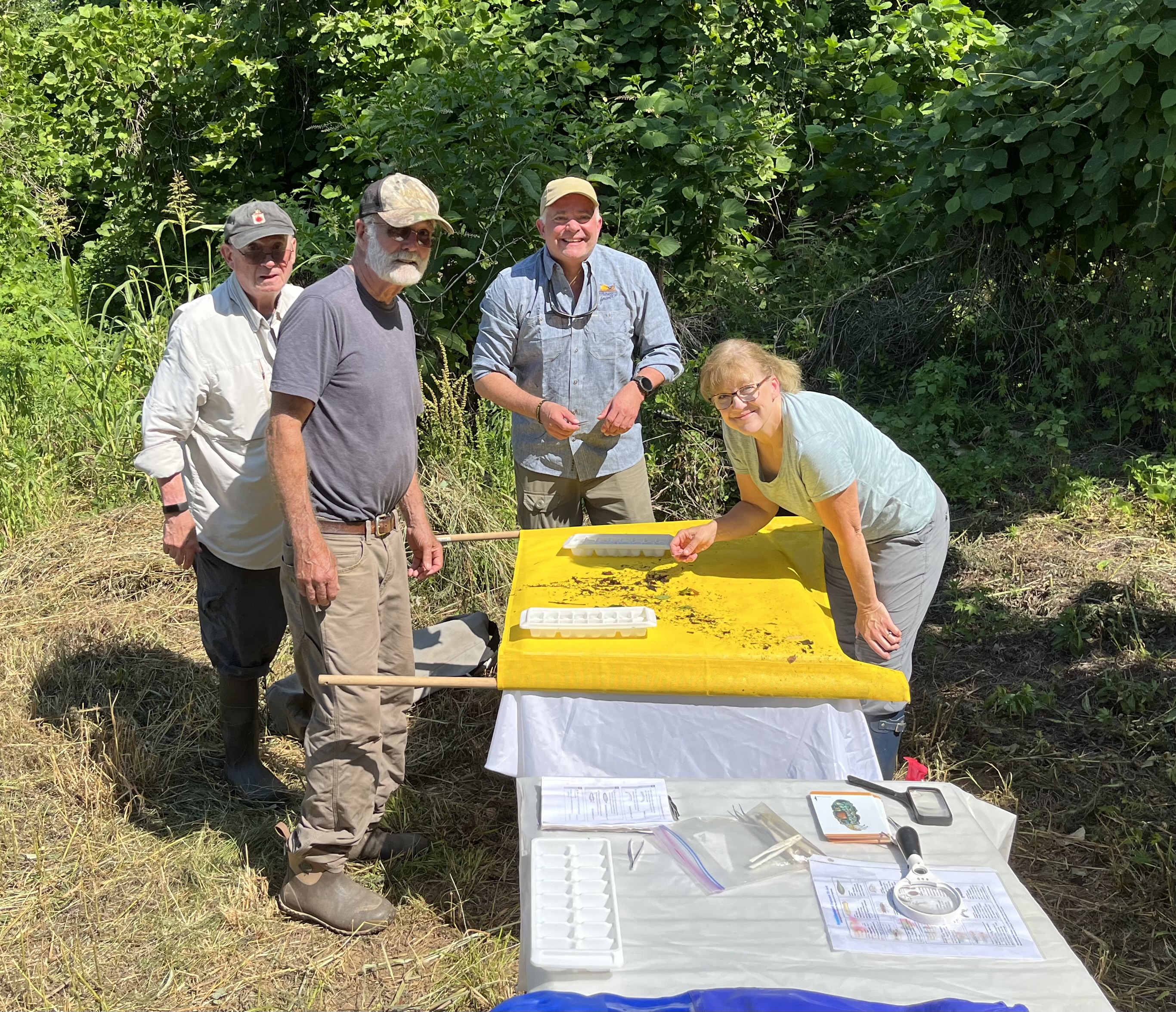 four volunteers examining a net to identify aquatic insects they have captured
