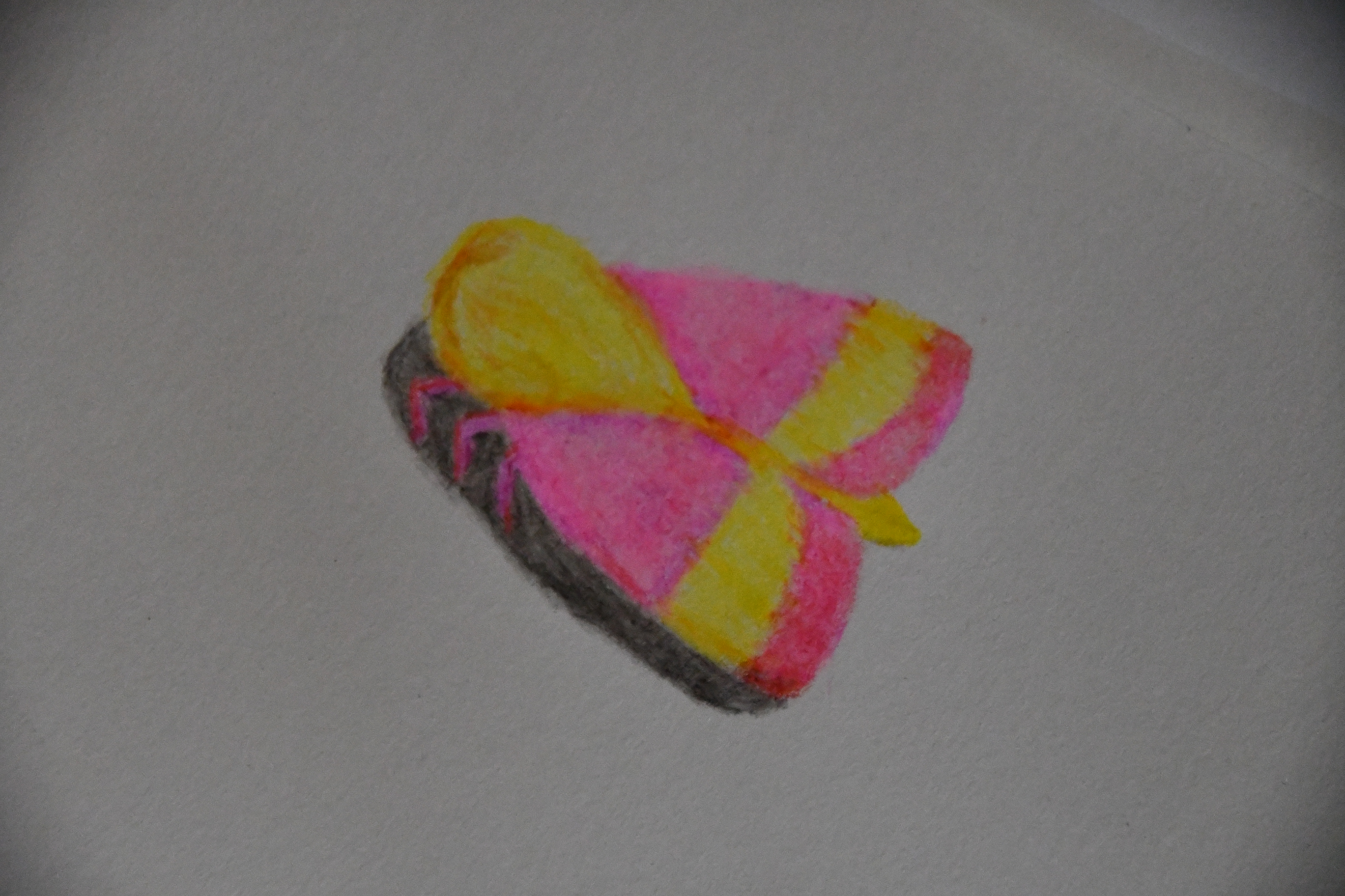 drawing of pink and yellow moth