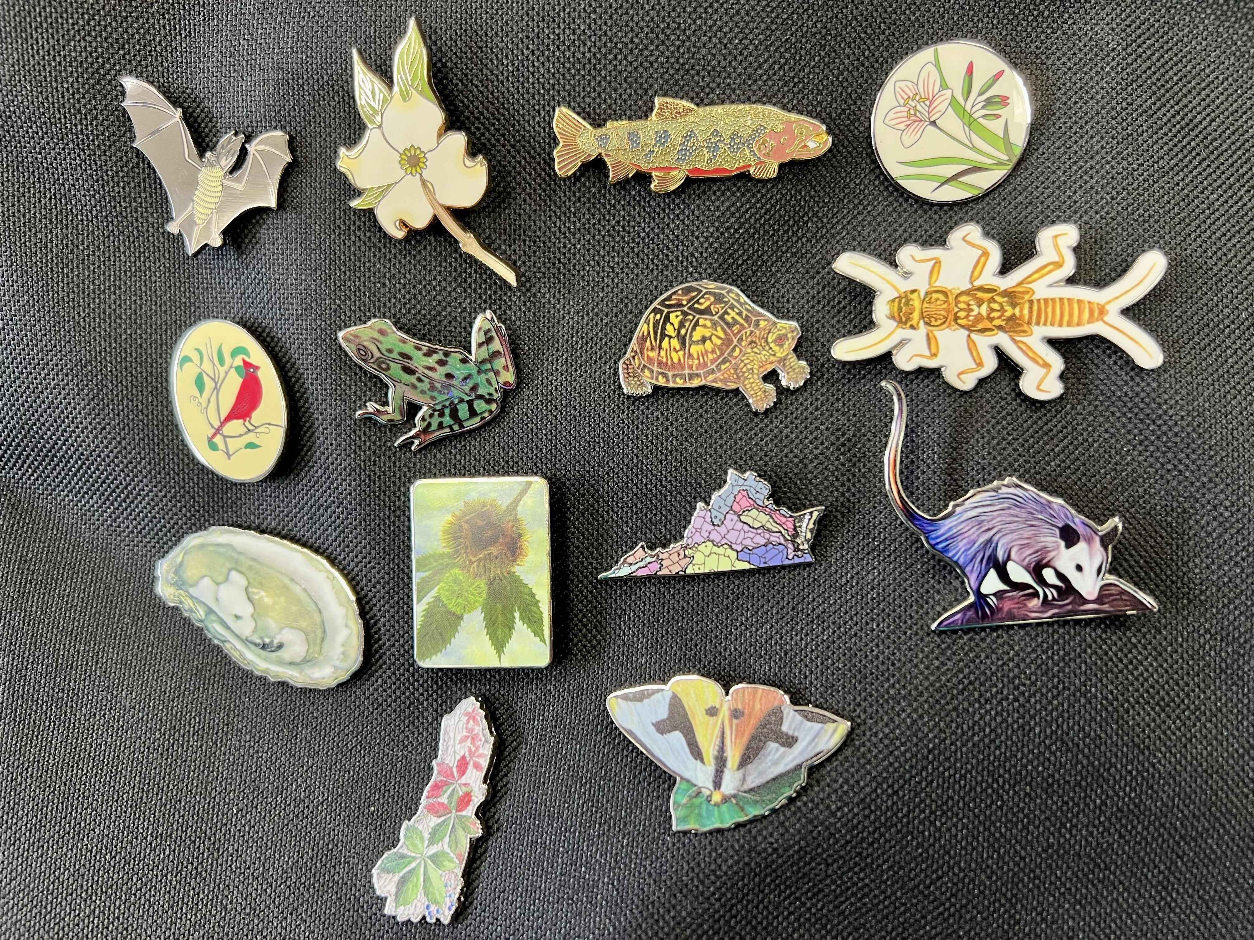 14 ceramic pins showing different plants and animal species