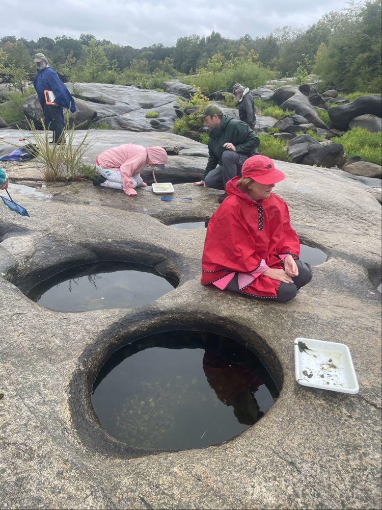 several people wearing raincoats, peering into round pools of water on a rocky outcrop