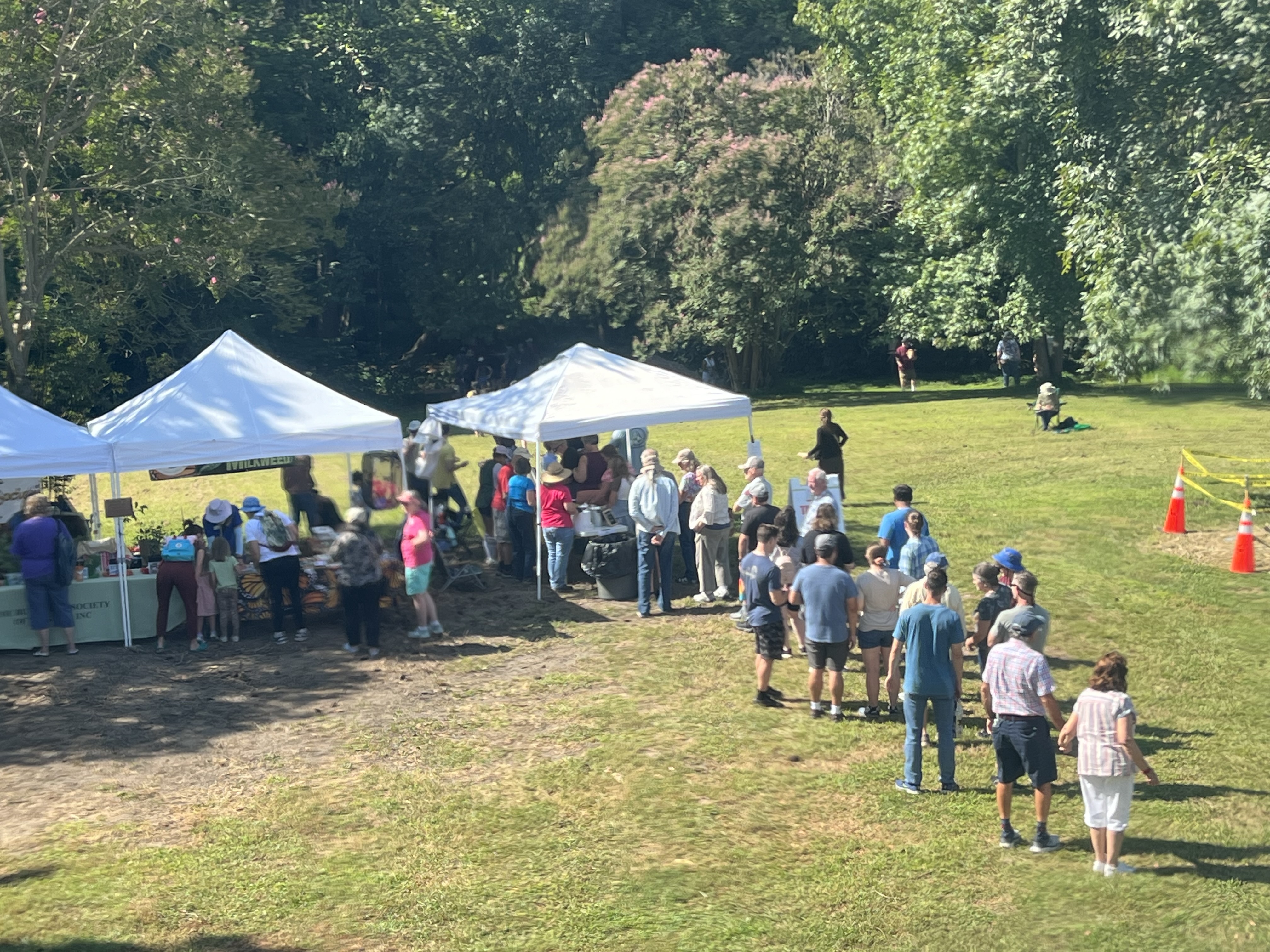line of people outside of white tents in a field