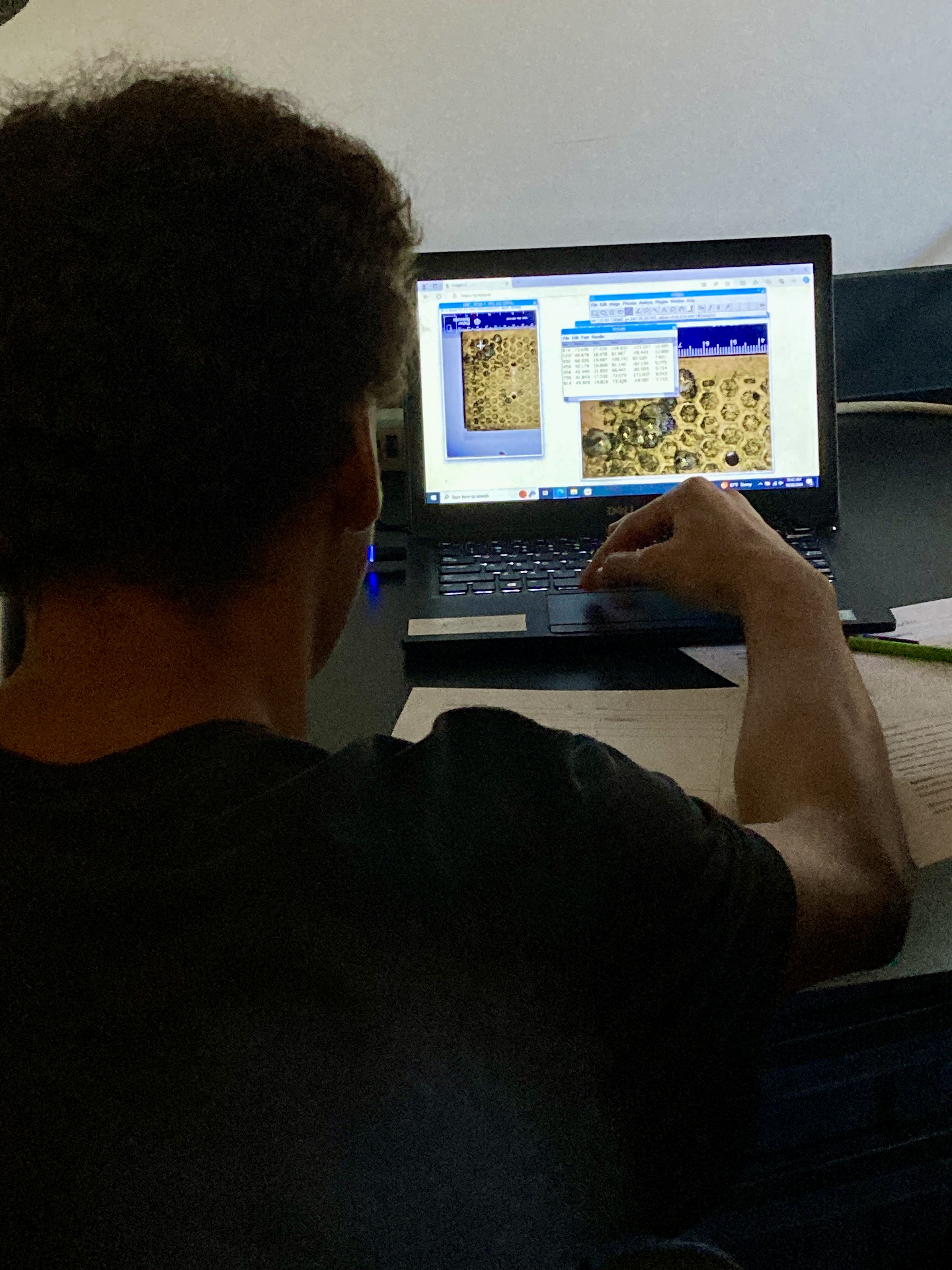 a youth looking at a computer screen showing oyster spat