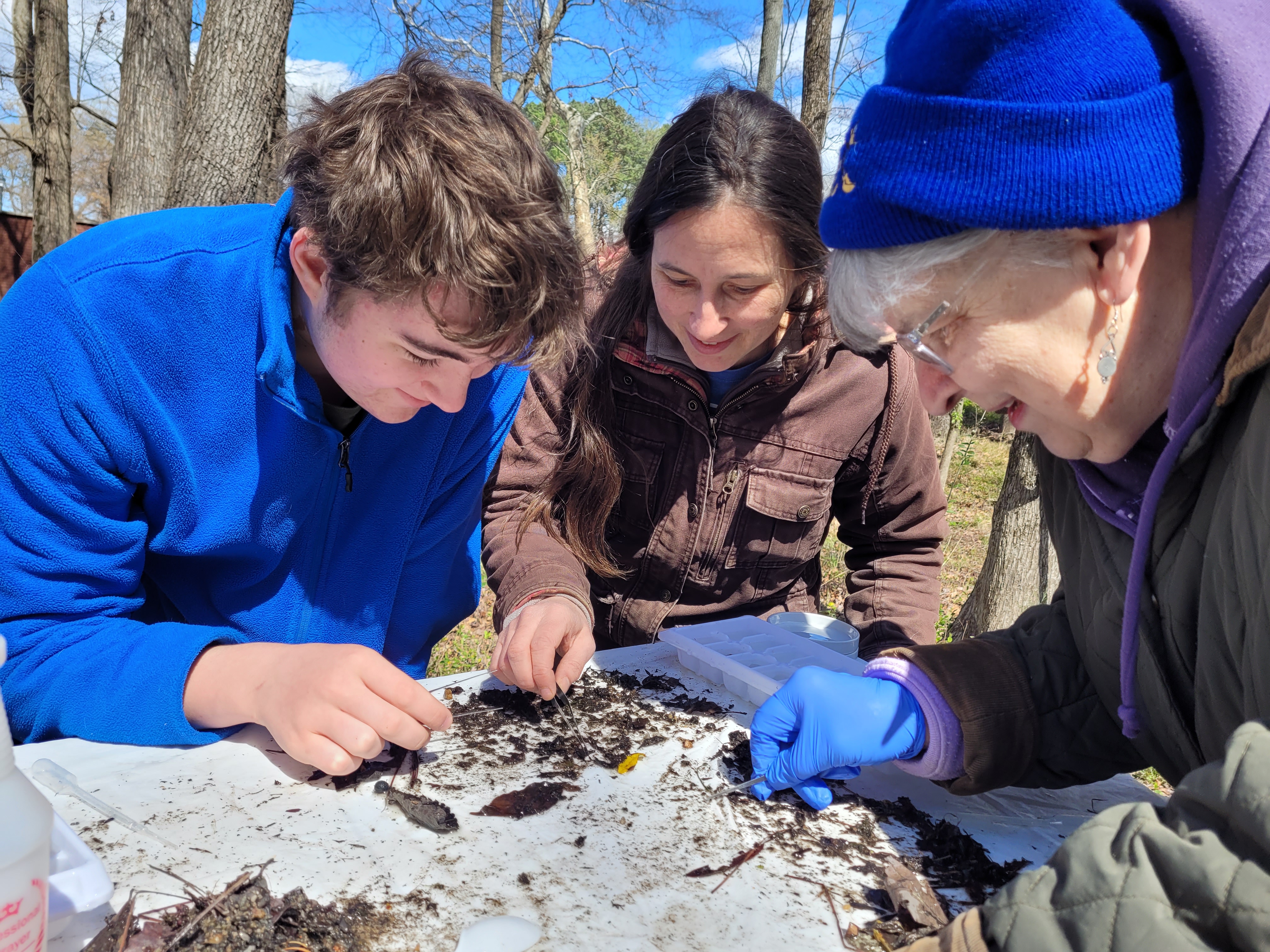 three people gathered around a net, picking through aquatic insects caught