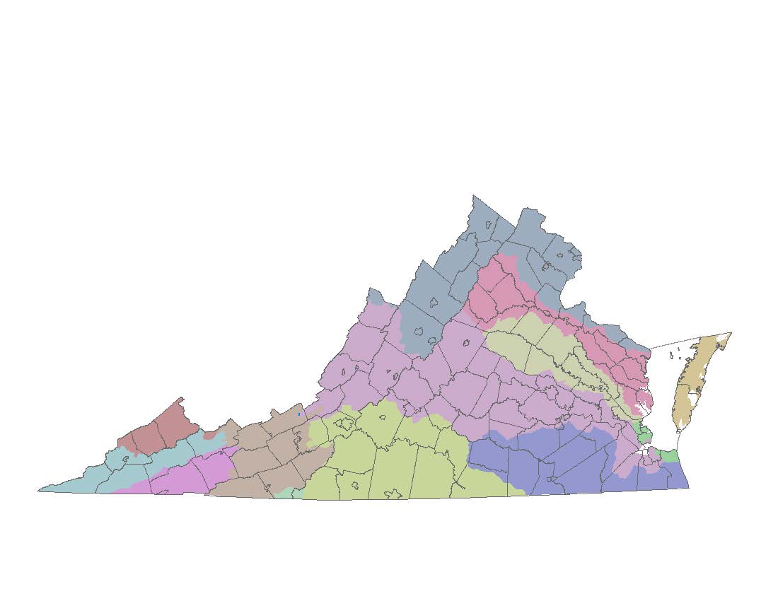 map of Virginia showing a dozen different watersheds in varying colors