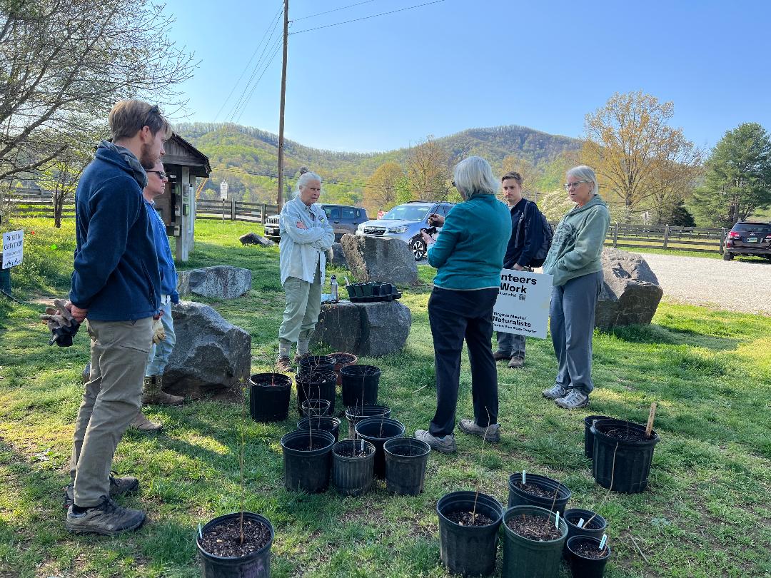 group of 6 volunteers outdoors with many tree seedlings in plastic pots, and one person demonstrating how to plant a tree