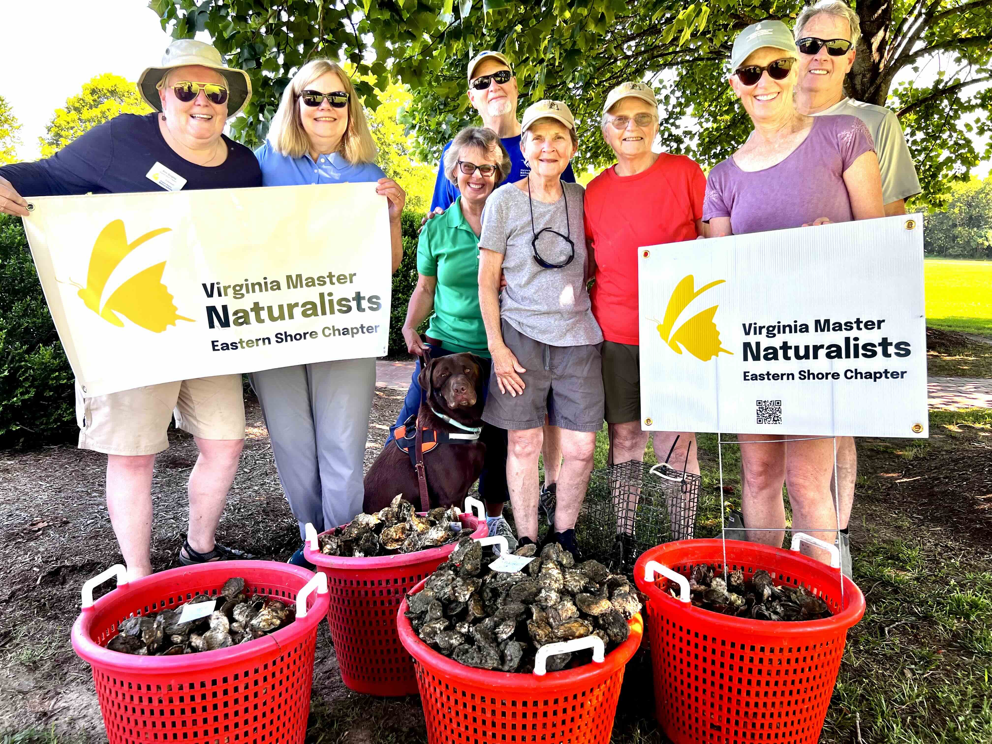 volunteers posed with baskets of oysters and Virginia Master Naturalist signs.
