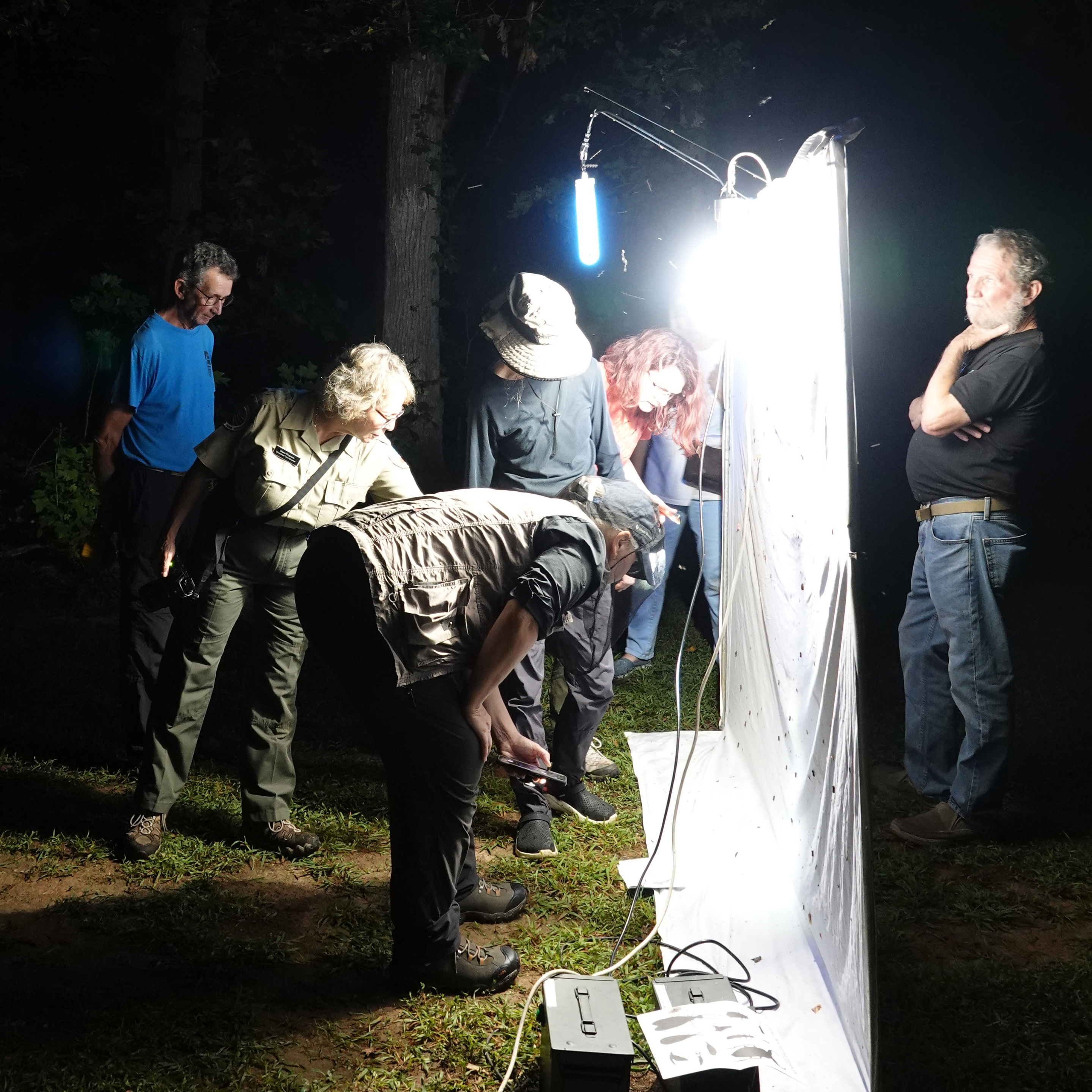 people gathered around a white sheet with a bright light shining on it
