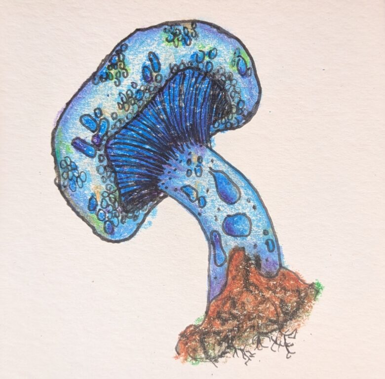 bright blue mushroom with blueish spots