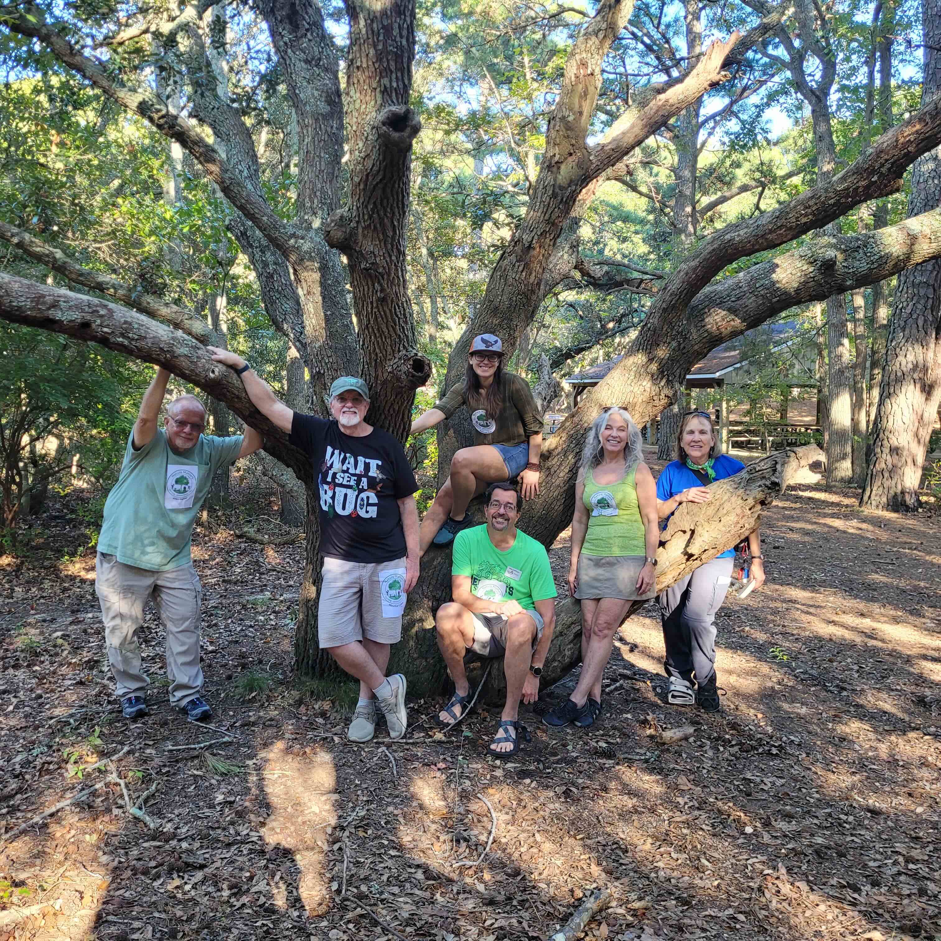 group of six people posed outdoor on a tree with spreading limbs