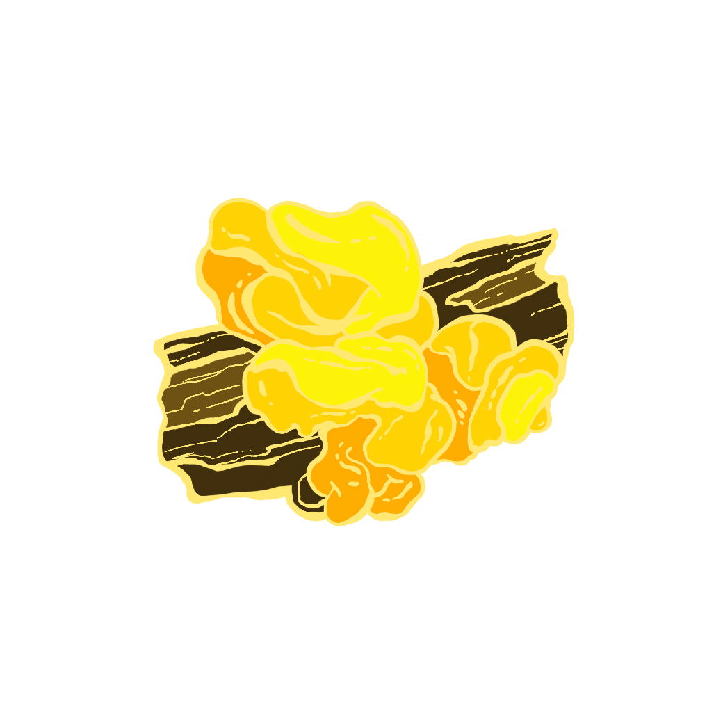 bright yellow, small fungus growing on a log