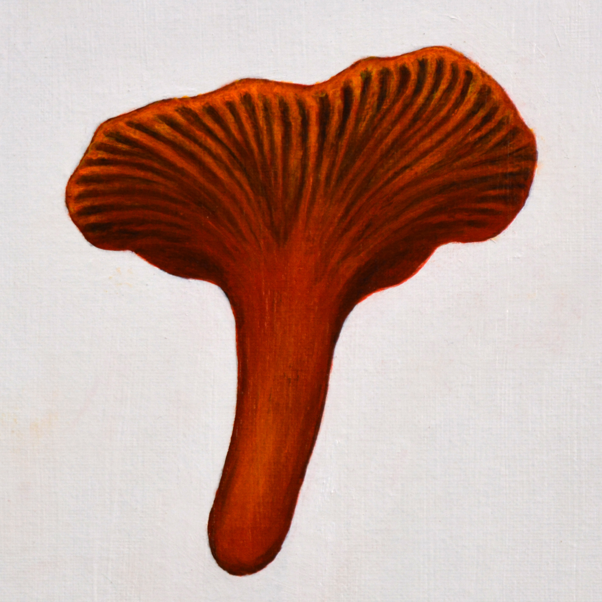 dark red mushroom