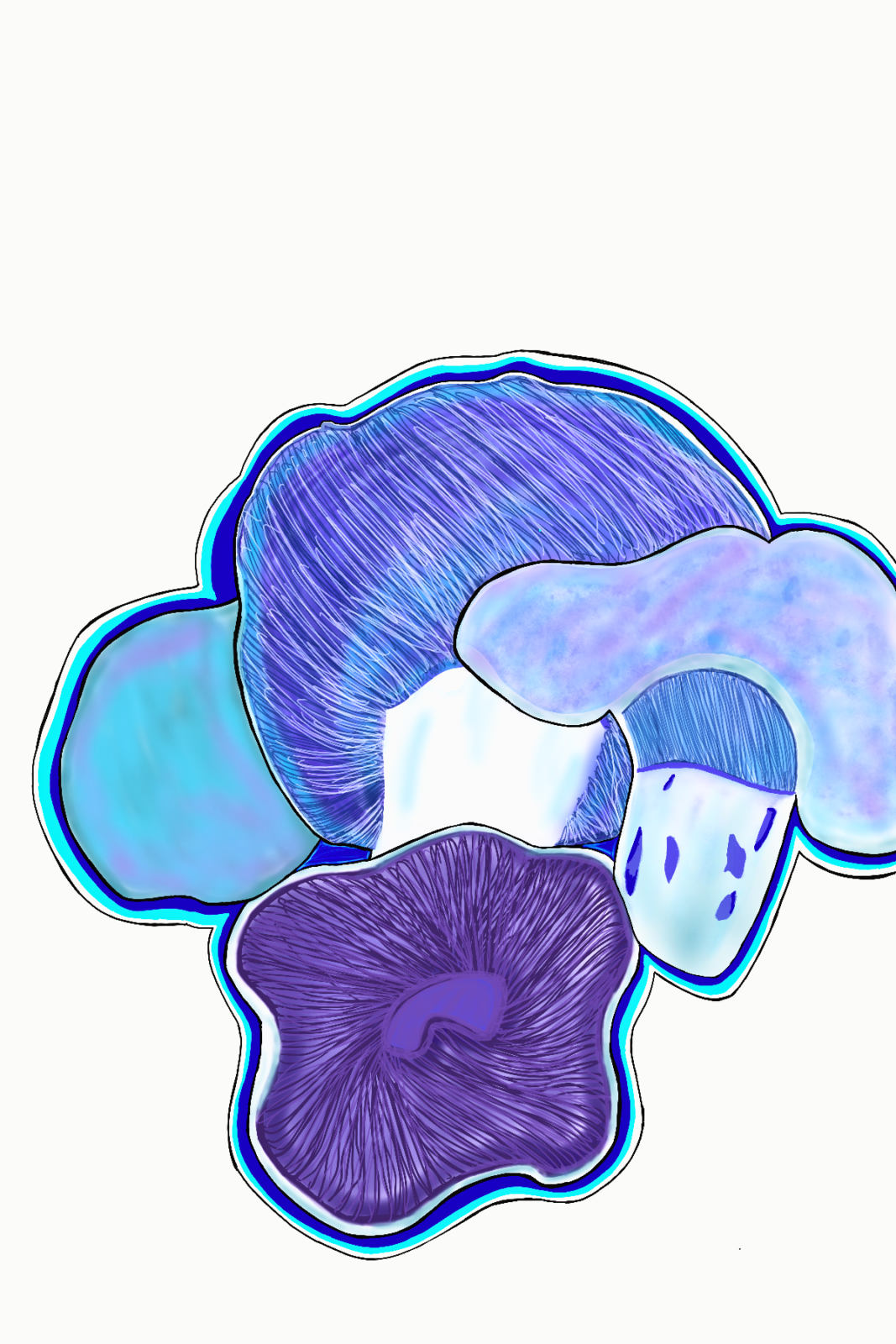 clump of bluish-purple mushrooms