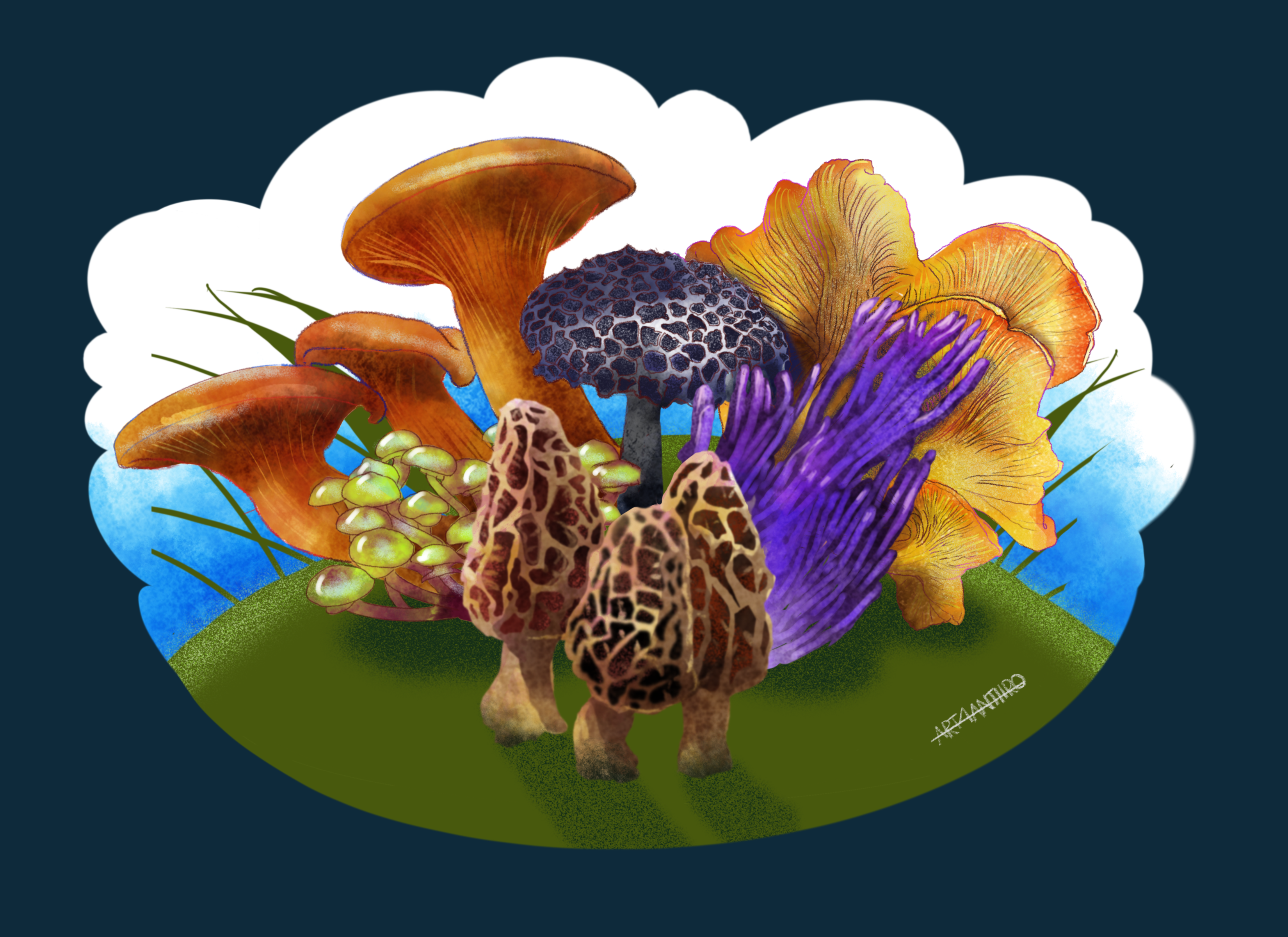 six species of mushrooms in many different colors