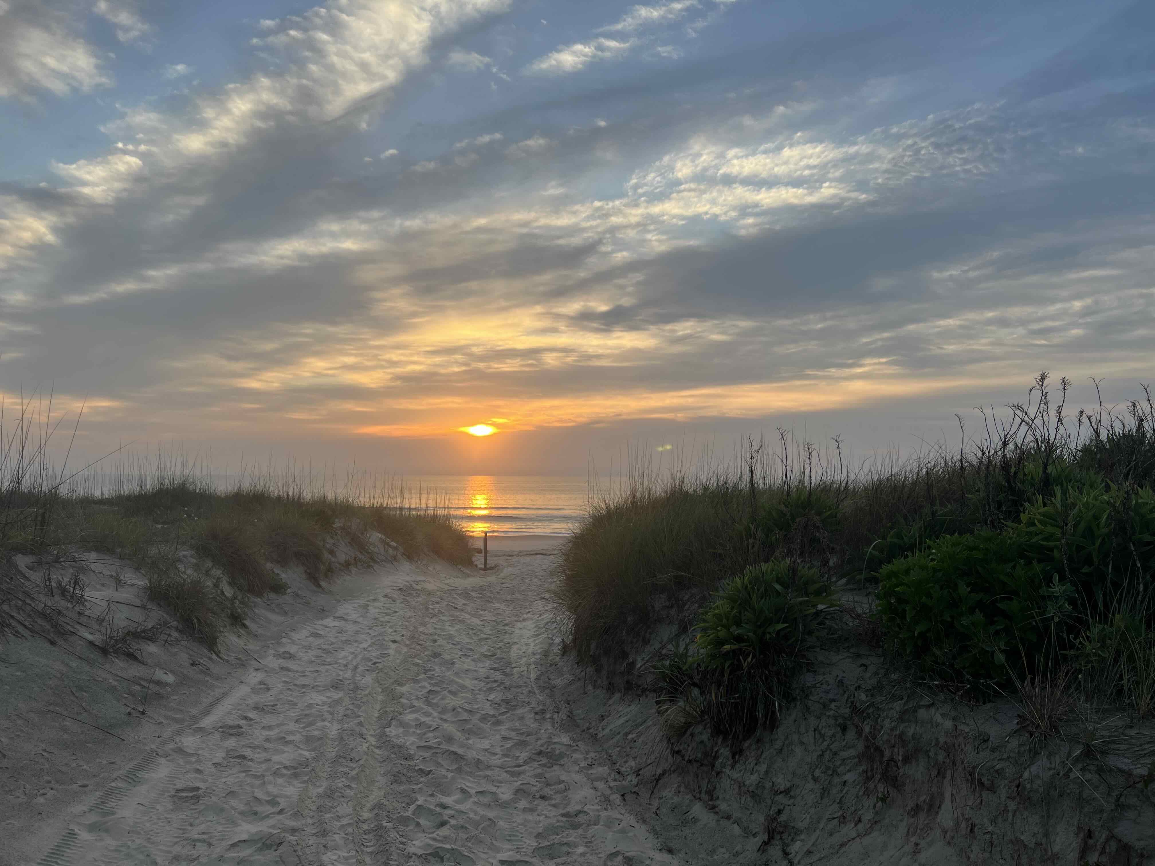 sunrise over an ocean, viewed between sand dunes with small plants growing on them