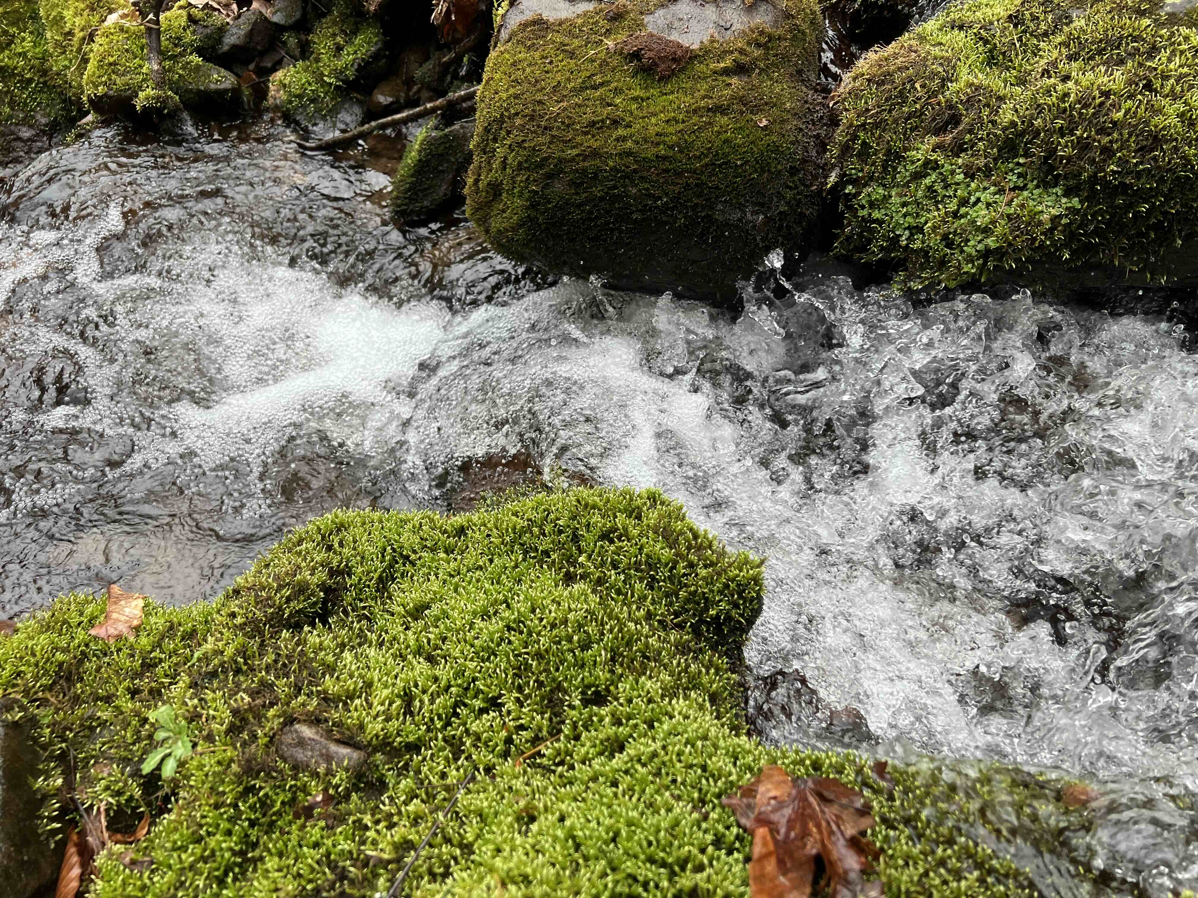 close up of a fast moving part of a mountain stream surrounded by rocks with green moss
