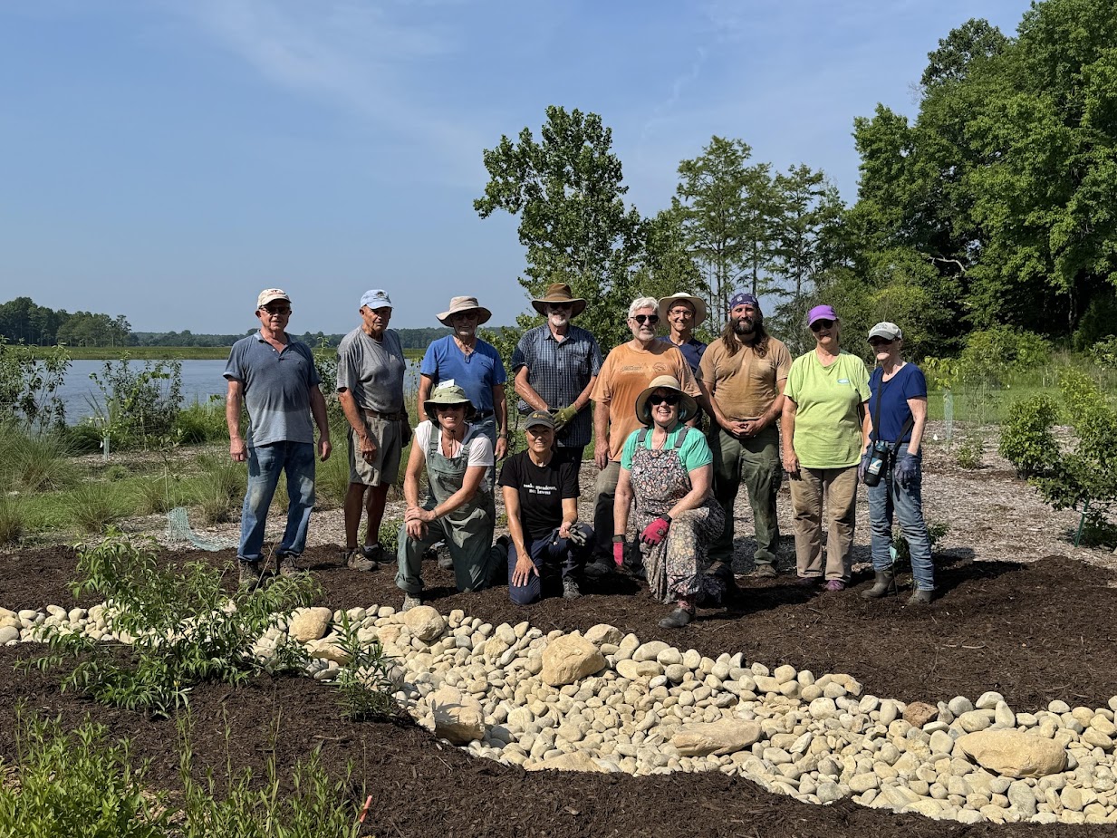 On a sunny day, twelve people stand among plants and a newly built rocky drainage ditch at Brickyard Landing, beside the Chickahominy River.