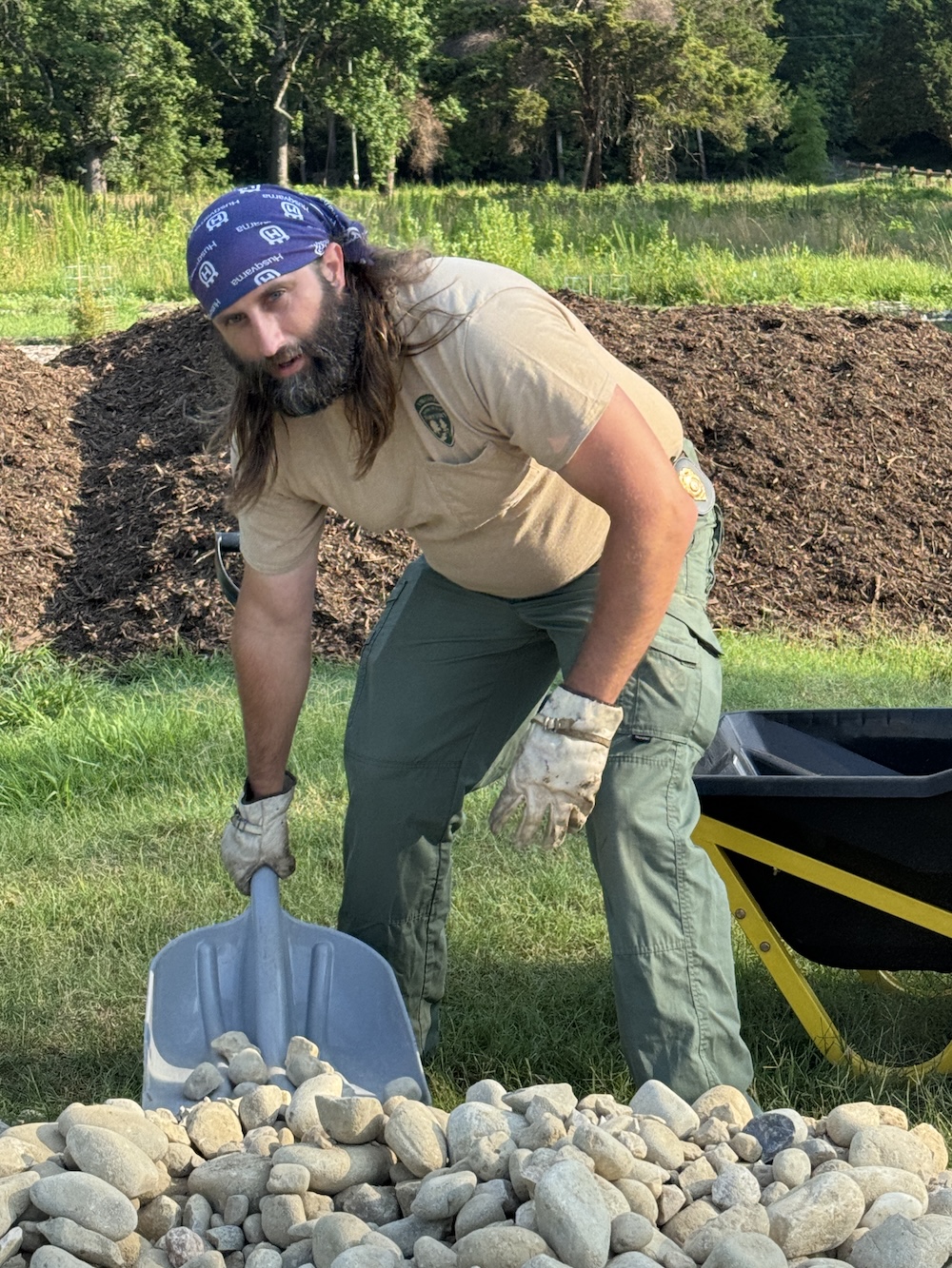 Man stooped in a garden, shoveling rocks into a wheelbarrow
