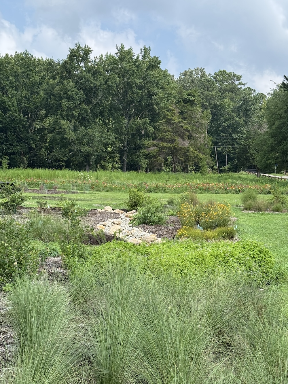 HistoricRivers 2025ImpactfulProject BRickyard garden with dry riverbed swale by Judy Kinshaw Ellis lowrescopy