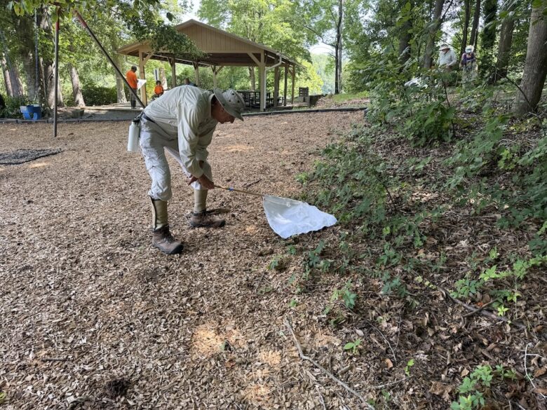 person dragging a piece of white fabric along a forest edge