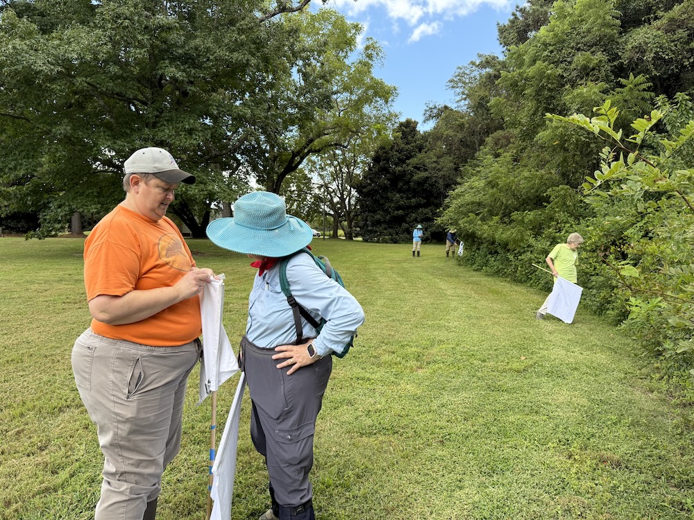 people in a field examining white square pieces of fabric