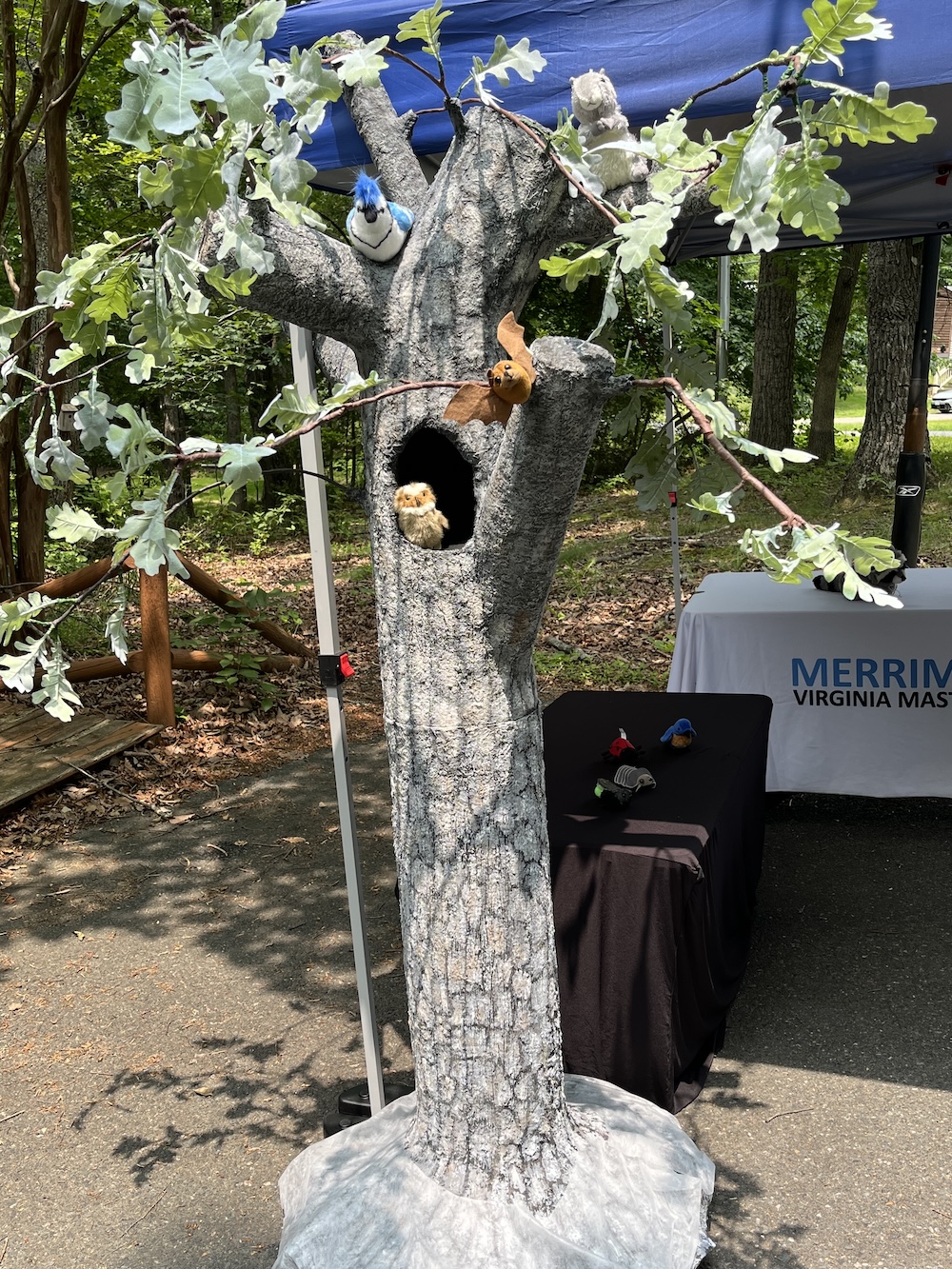Six foot tall wire oak tree model covered with paper mache bark and with a small canopy of branches and leaves. An owl stuffed animal peers out of a hold in the tree and a blue jay stuffed animal perches on a branch.