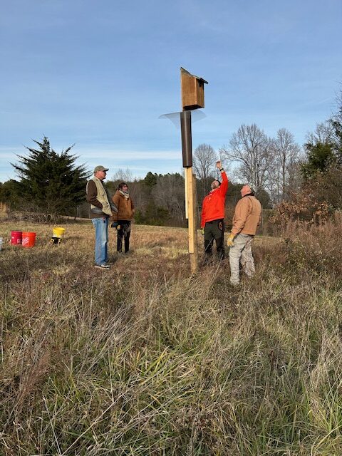 four people in a field, looking up at a nest box mounted high on a pole