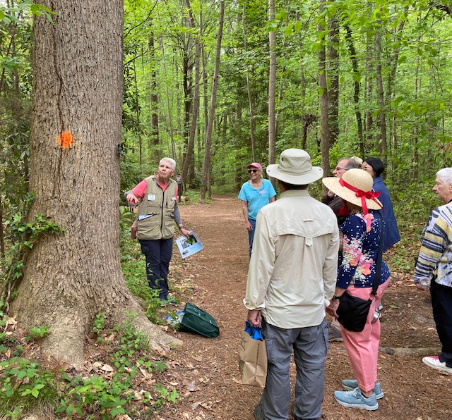 naturalist volunteer shows a tree to a group of people on a path