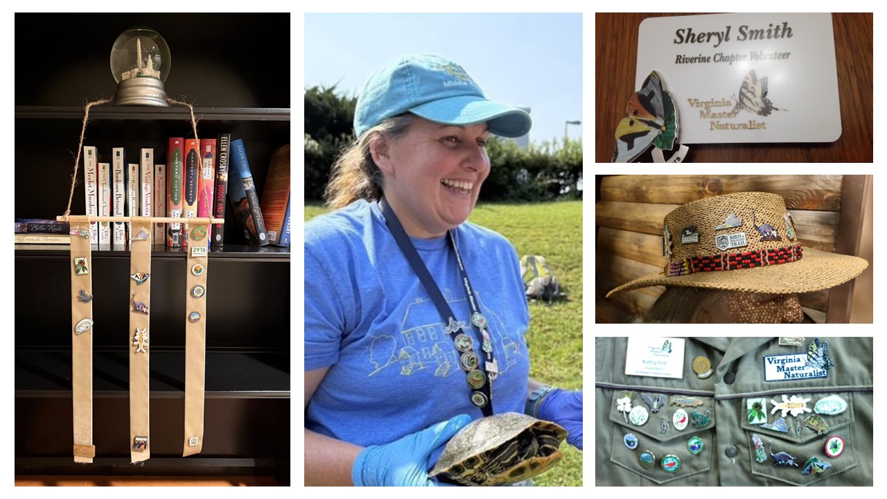 Five images. First image is VMN pins on a banner. Second image is volunteer wearing pins on a lanyard around their neck. Third image is a pin attached to a name tag. Fourth image is pins on a sun hat. Fifth image is pins on a vest.