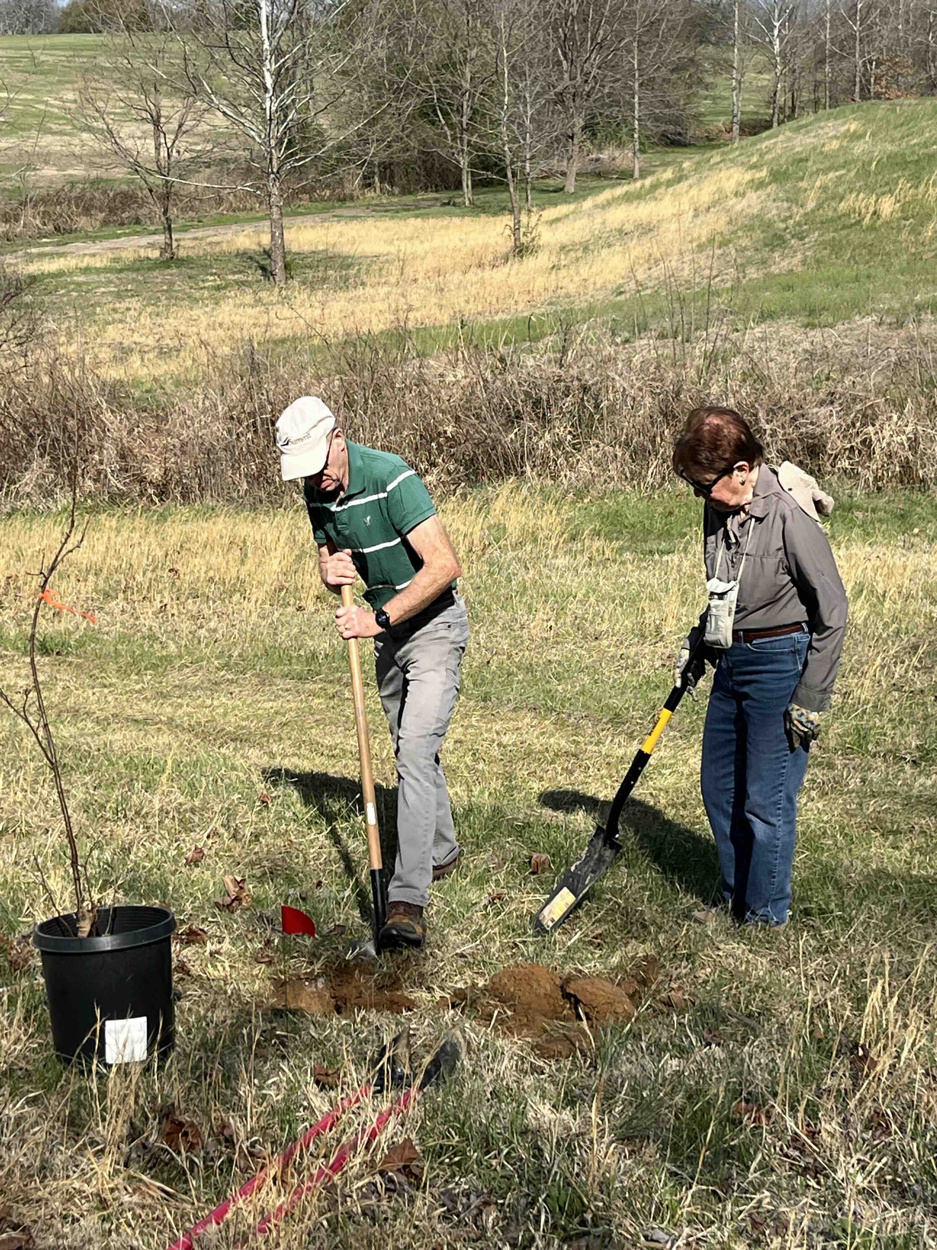 two volunteers planting trees