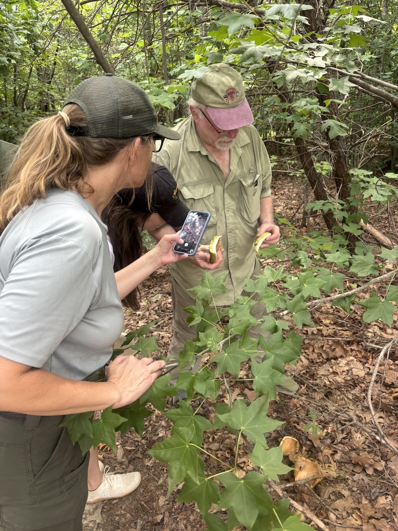 three people gathered in the woods examining a mushroom cap
