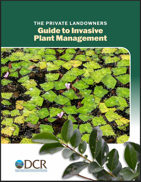 cover page of a publication with pictures of invasive plants