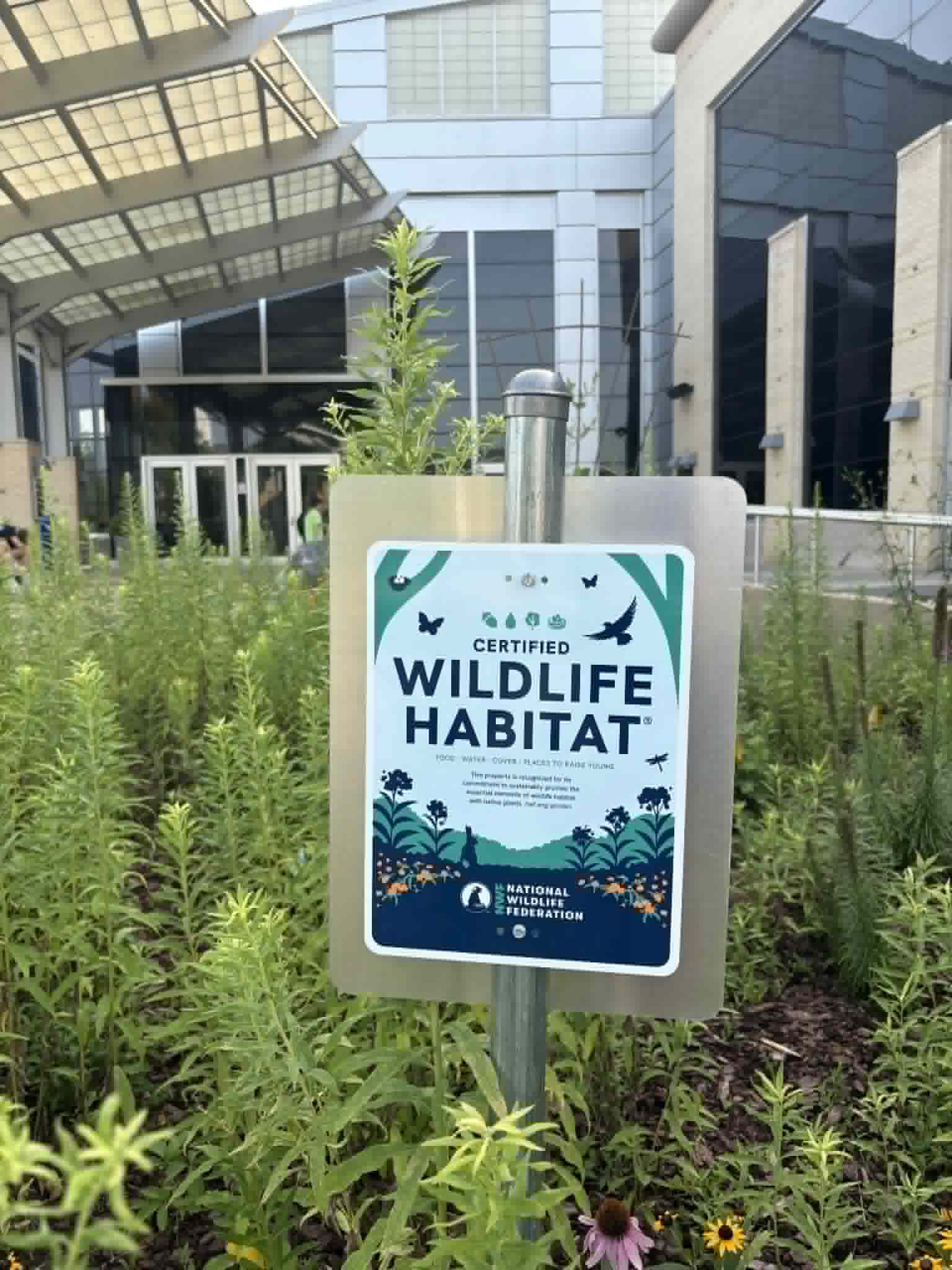 Sign in a garden reading Certified Wildlife Habitat, National Wildlife Federation