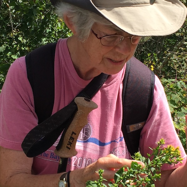 woman in hiking clothing examining a plant with yellow flowers