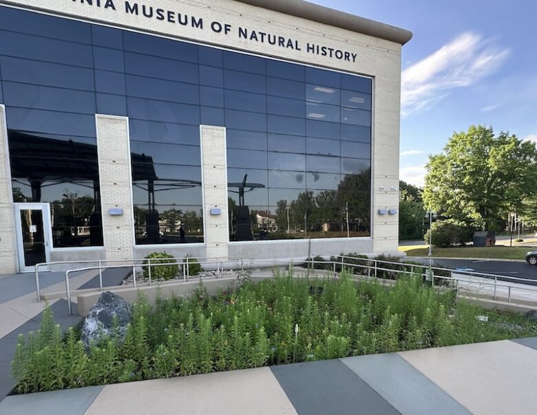 Virginia Museum of Natural History building with a native plant garden in front