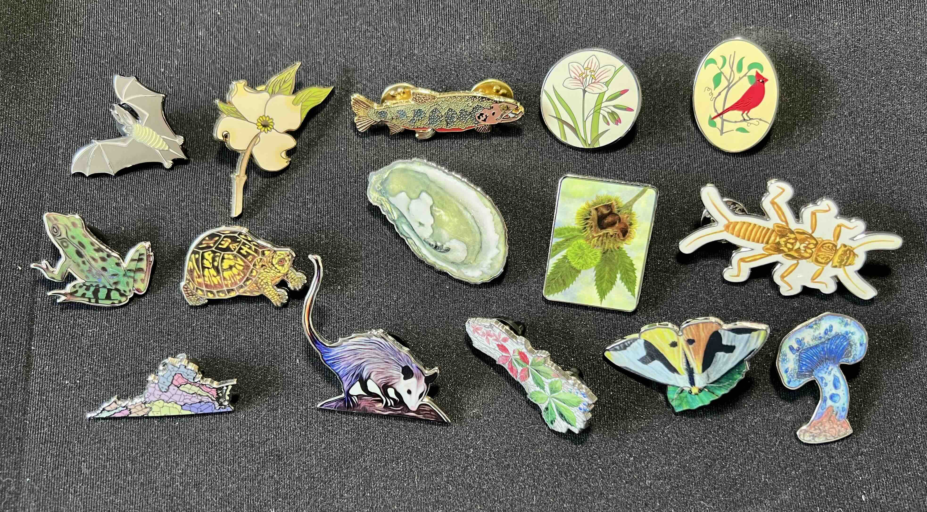 14 ceramic pins showing different plants and animal species